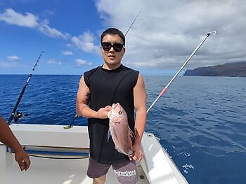 Seguimos con suerte y buena pesca!! White Marlin Gran Canaria