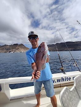 Seguimos con suerte y buena pesca!! White Marlin Gran Canaria