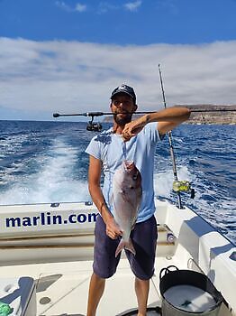 Seguimos con suerte y buena pesca!! White Marlin Gran Canaria