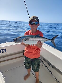 Seguimos con suerte y buena pesca!! White Marlin Gran Canaria
