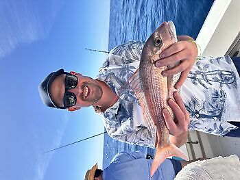 Lass uns gehen!! White Marlin Gran Canaria