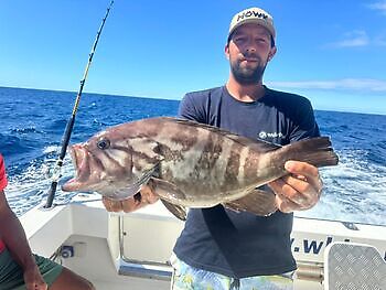 ¡¡¡Pescado azul!!! White Marlin Gran Canaria