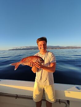 ¡¡¡Pescado azul!!! White Marlin Gran Canaria