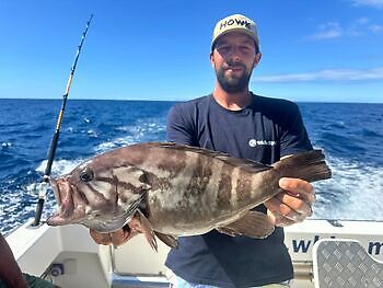 Pez azul White Marlin Gran Canaria