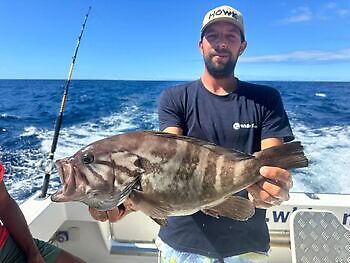 ¡Guau!! White Marlin Gran Canaria