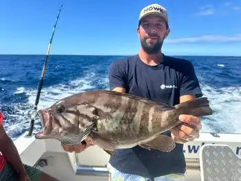 Herzlichen Glückwunsch, Fischer!!! White Marlin Gran Canaria