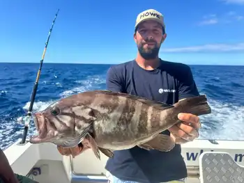 Herzlichen Glückwunsch, Fischer!!! White Marlin Gran Canaria