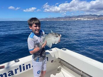 ¡¡¡Día sin respiro!!! White Marlin Gran Canaria