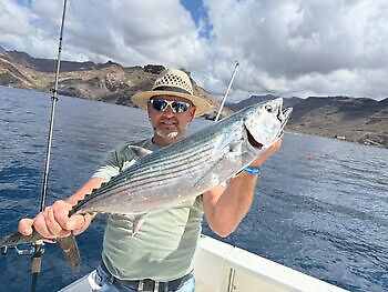 Empiezan a llegar los listados!!! White Marlin Gran Canaria