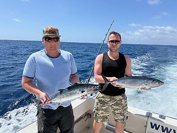 Empiezan a llegar los listados!!! White Marlin Gran Canaria