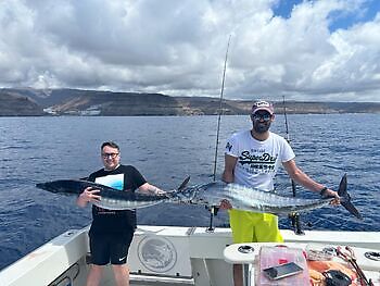 Empiezan a llegar los listados!!! White Marlin Gran Canaria