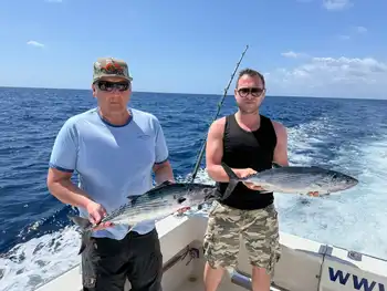 Dag zonder respijt!!! White Marlin Gran Canaria