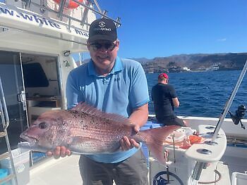 Empiezan a llegar los listados!!! White Marlin Gran Canaria