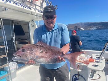 ¡¡¡Día del Atún Barrilete!!! White Marlin Gran Canaria