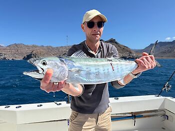 ¡¡¡Día del Atún Barrilete!!! White Marlin Gran Canaria