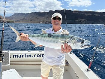 ¡¡¡Día del Atún Barrilete!!! White Marlin Gran Canaria