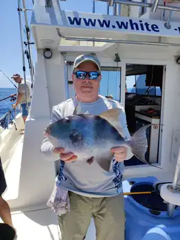 Terminamos la semana con más wahoos!!! White Marlin Gran Canaria