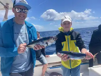 Empiezan a llegar los listados!!! White Marlin Gran Canaria