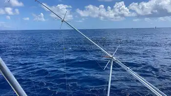 Skipjack tonfiskens dag!!! White Marlin Gran Canaria