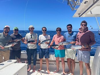 ¡¡¡Día en el arrecife!!! White Marlin Gran Canaria