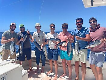 ¡¡¡Día en el arrecife!!! White Marlin Gran Canaria