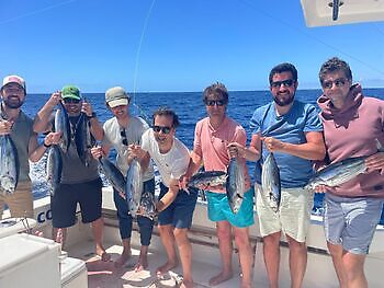 ¡¡¡Día en el arrecife!!! White Marlin Gran Canaria