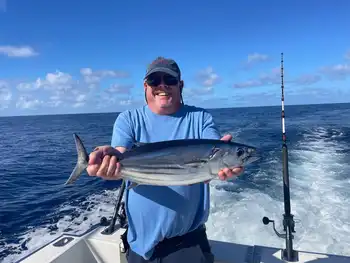 Weiter geht es mit Echten Bonito!!! White Marlin Gran Canaria
