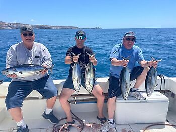 ¡¡¡Día en el arrecife!!! White Marlin Gran Canaria