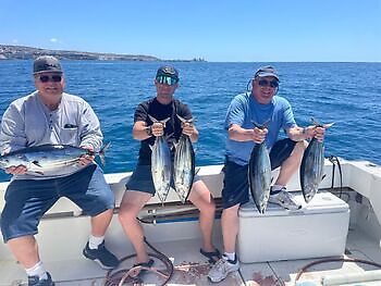 ¡¡¡Día en el arrecife!!! White Marlin Gran Canaria
