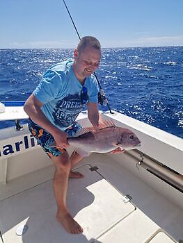 ¡¡¡Día en el arrecife!!! White Marlin Gran Canaria