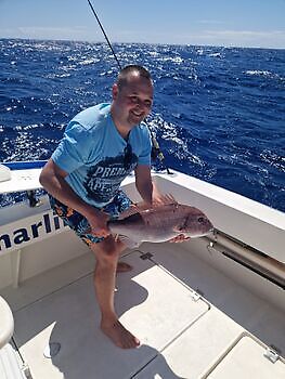 ¡¡¡Mediojuros!!! White Marlin Gran Canaria