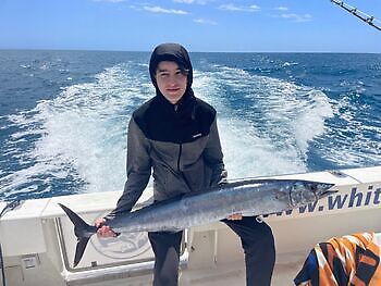 ¡¡¡Mediojuros!!! White Marlin Gran Canaria