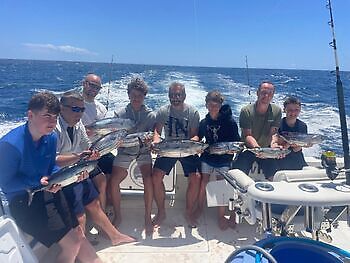 ¡¡¡Se acercan los marlines azules!!! White Marlin Gran Canaria