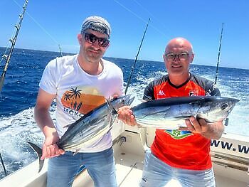 ¡¡¡Se acercan los marlines azules!!! White Marlin Gran Canaria