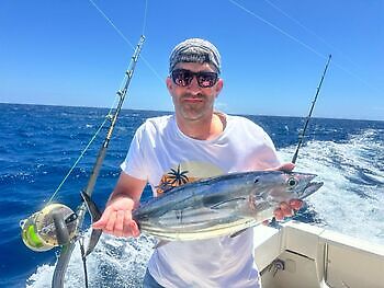¡¡¡Se acercan los marlines azules!!! White Marlin Gran Canaria