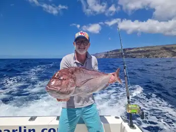Tag am Riff!!! White Marlin Gran Canaria