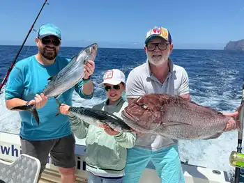 Tag am Riff!!! White Marlin Gran Canaria