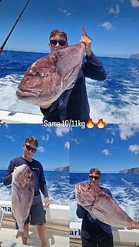 Nueva semana, nuevas ilusiones, nuevos retos...!!! White Marlin Gran Canaria