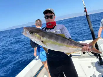 !!!Mediojuros !!! White Marlin Gran Canaria