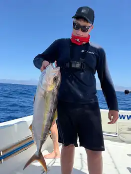 !!!Mediojuros !!! White Marlin Gran Canaria