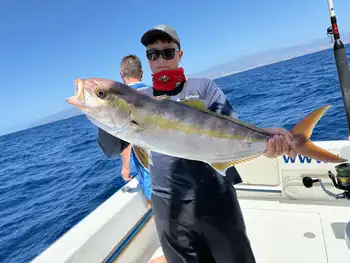 !!!Mediojuros !!! White Marlin Gran Canaria