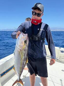 ¡¡¡Mediojuros!!! White Marlin Gran Canaria