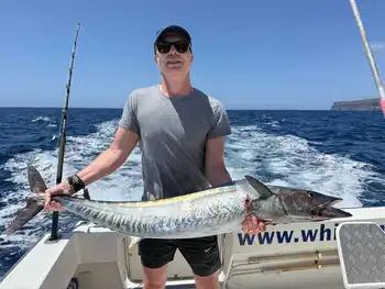 Blue marlin kommer!!! White Marlin Gran Canaria
