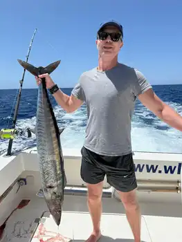 Blue marlin kommer!!! White Marlin Gran Canaria