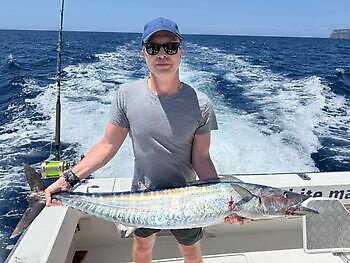 ¡¡¡Se acercan los marlines azules!!! White Marlin Gran Canaria
