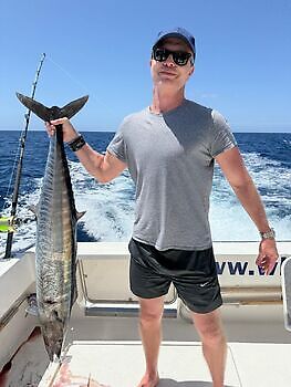 ¡¡¡Se acercan los marlines azules!!! White Marlin Gran Canaria