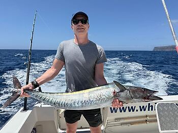 ¡¡¡Se acercan los marlines azules!!! White Marlin Gran Canaria