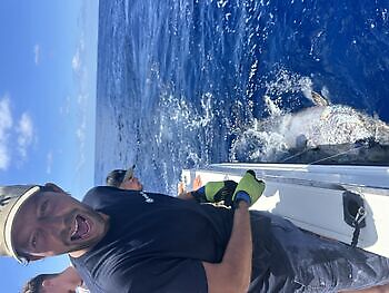 Marlín blanco, aleta azul !!! White Marlin Gran Canaria