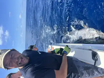 White Marlin,Bluefin Tuna!!! White Marlin Gran Canaria