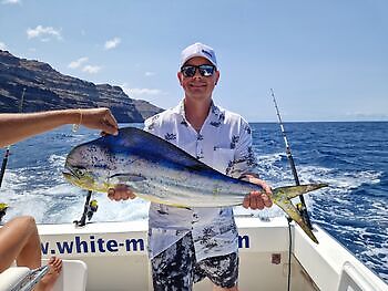 Mahi Mahi, Skipjack Tunfisk, Wahoo White Marlin Gran Canaria